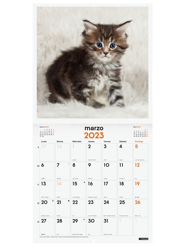 Calendario Finocam de pared con imágenes de GATITOS para escribir a mes