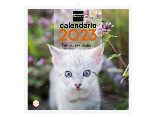 Calendario Finocam de pared con imágenes de GATITOS para escribir a mes vista. 2023