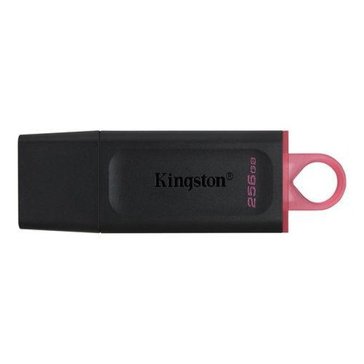 Memoria USB KINGSTON Datatraveler Exodia 256 Gb