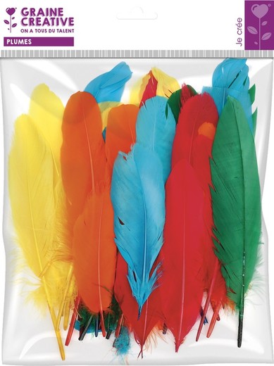 Plumas 15 grs Ganso Surtido