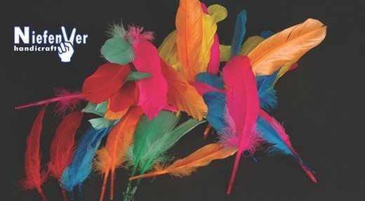 conception indienne de plumes colorées