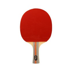 Raqueta para tenis d emesa p500