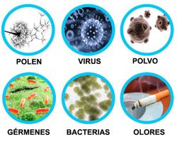 Aeramax dx-5. Purificador de ar