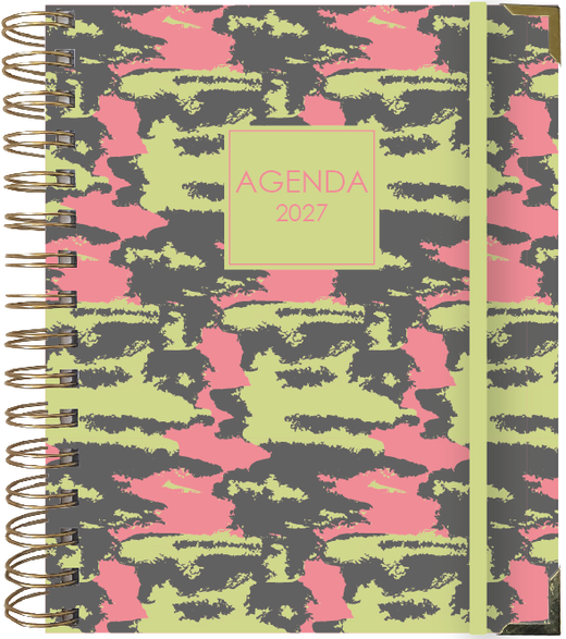 Agenda Anual 2027 Día Página Splash