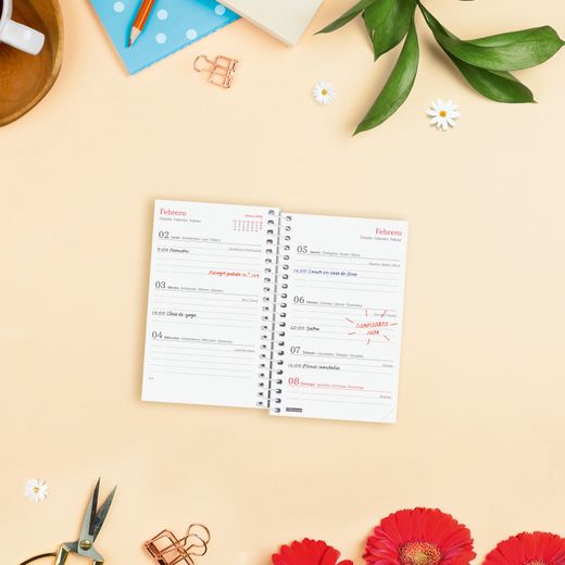 Agenda Design Col.E3-79X127Mm Semana Vista Horizontal 2026 Ahora