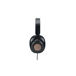 Fones de ouvido H2000 USB-C