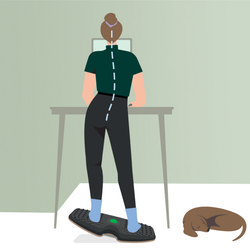 Balance Board Leitz Ergo Active