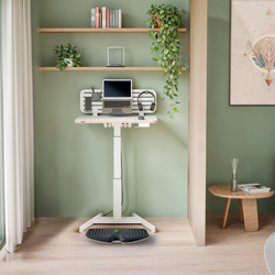 Balance Board Leitz Ergo Active