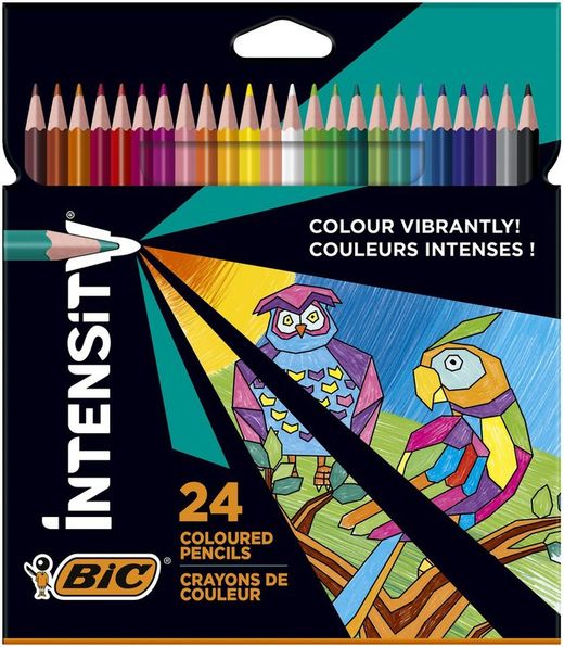 Blister de peinture intensité Bic en deux présentations