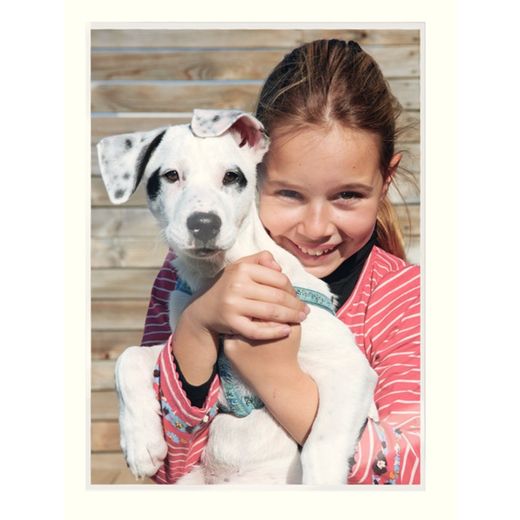 Pochettes de plastification Leitz iLAM premium avec UDT en trois tailles et quatre grammages