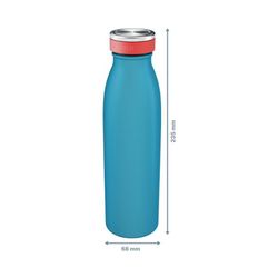 Bouteille isotherme leitz cosy 500 ml
