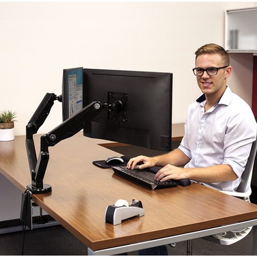 bras de moniteur double série platinium