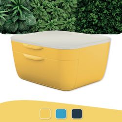 Baú Leitz Cosy com 2 Gavetas