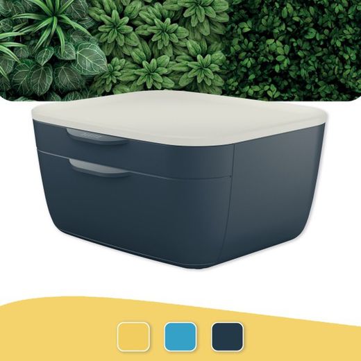 Baú Leitz Cosy com 2 Gavetas