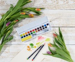 Caja de 24 pastillas de pinturas Derwent Inktense