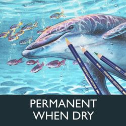 Coffret bois de 72 crayons Derwent inktense