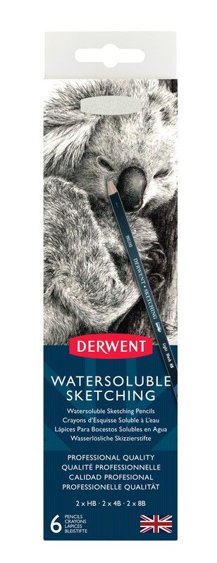 Caixa de metal com 6 lápis aquarela de grafite Derwent para esboços - 3 graus (HB, 4B e 8B), inclui apontador
