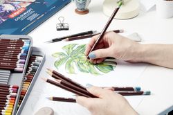 Boîte métallique de 12 crayons Derwent Coloursoft