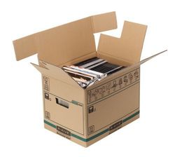 Caixa para transporte e mudança de companheiros