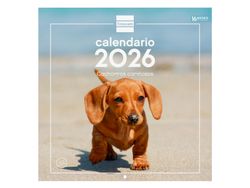 Calendario Pared 30X30 2026 Cachorros