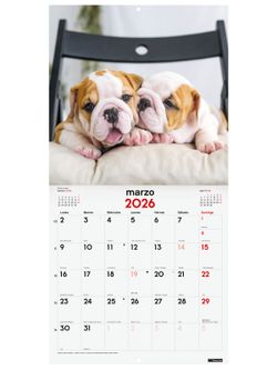 Calendario Pared 30X30 2026 Cachorros