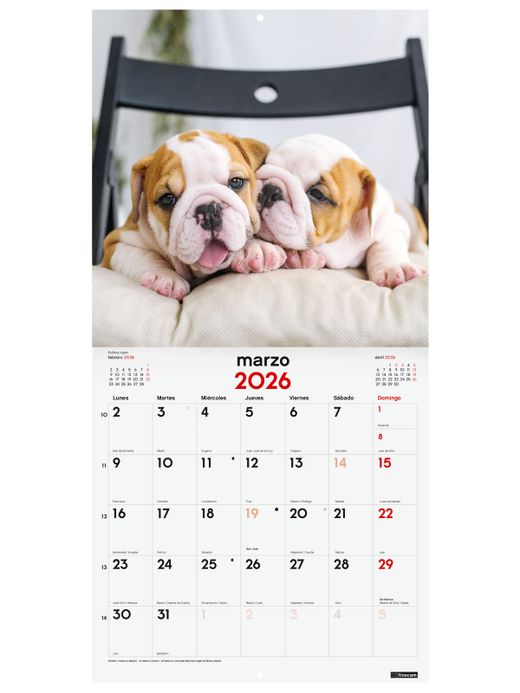 Calendario Pared 30X30 2026 Cachorros