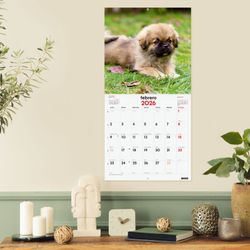 Calendario Pared 30X30 2026 Cachorros