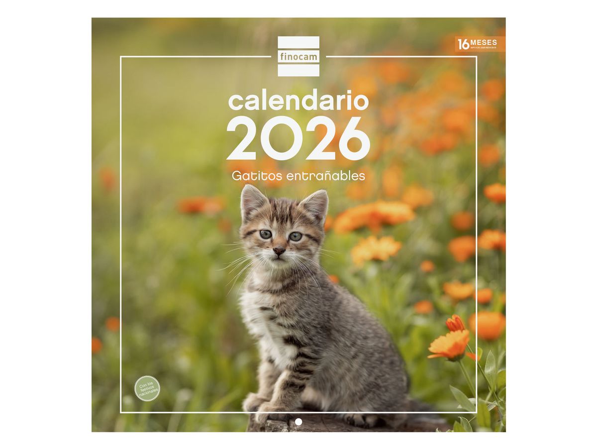 Calendario Pared 30X30 2026 Gatitos — Cartabon
