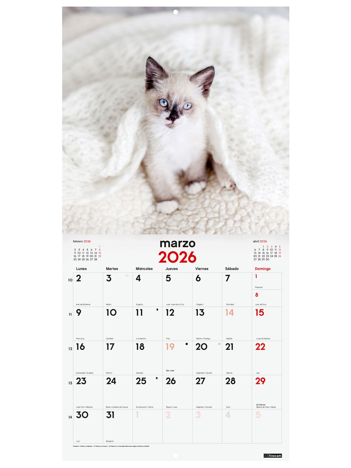 Calendario Pared 30X30 2026 Gatitos — Cartabon