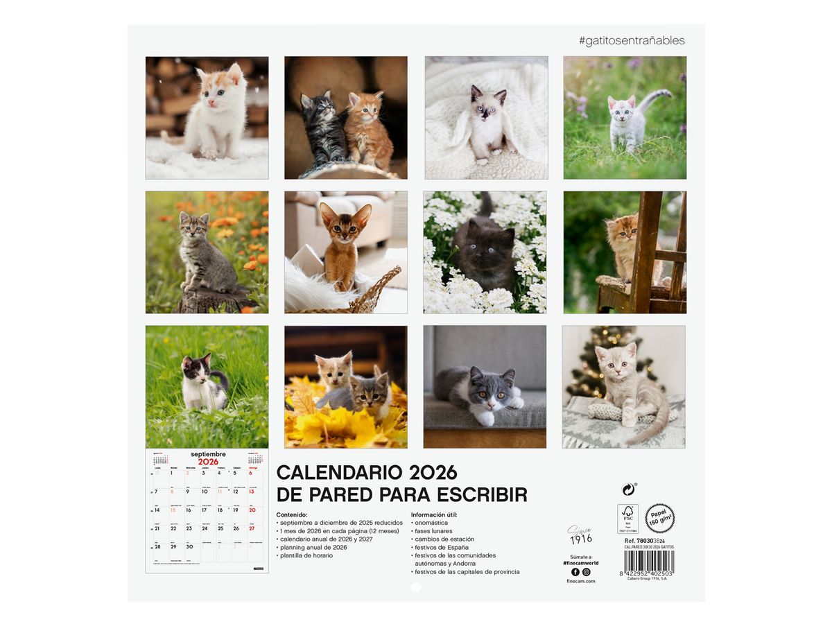 Calendario Pared 30X30 2026 Gatitos — Cartabon