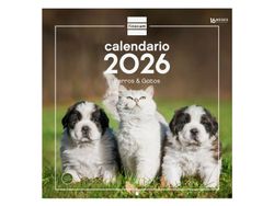 Calendario Pared 30X30 2026 Perros Y Gatos