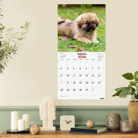 Calendario pared imágenes cachorros 2027