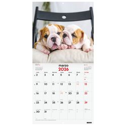 Calendario pared imágenes cachorros 2027