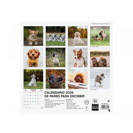 Calendario de pared 30X30 cm 2025 Cachorros