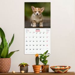 Calendario de pared 30X30 cm 2025 Cachorros