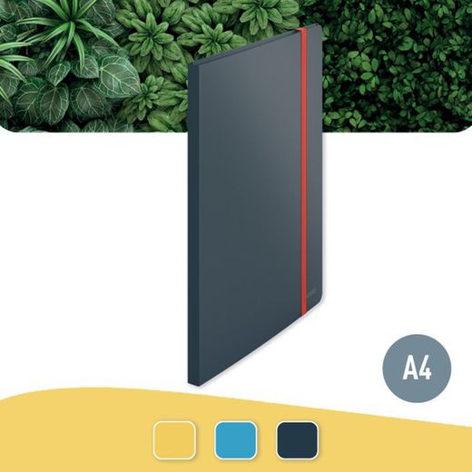 Pasta de 20 leitz aconchegante mais capas