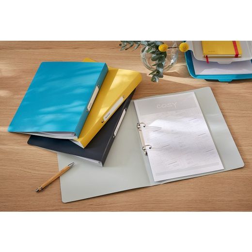 classeur à anneaux leitz cosy