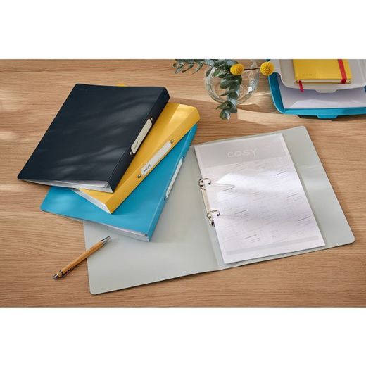 classeur à anneaux leitz cosy