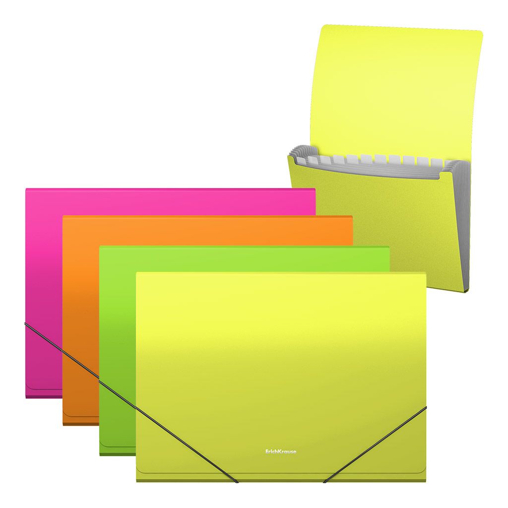 Carpeta fuelle 12 departamentos de erichkrause