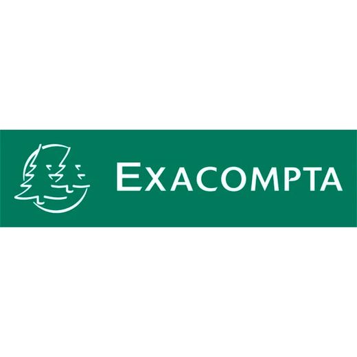 Capas de 2 argolas de 15 mm em polipropileno opaco. Cores sortidas