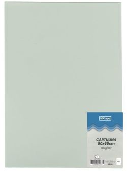 Cartulina de 50 x 65 cm. 8 colores