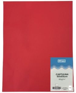 Cartulina de 50 x 65 cm. 8 colores