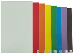 Cartulina de 50 x 65 cm. 8 colores