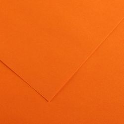 Cartulinas de 50 x 65 cm iris canson