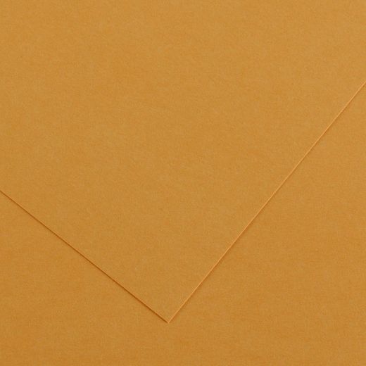 Cartulinas de 50 x 65 cm iris canson