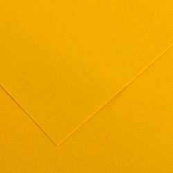 Cartulinas de 50 x 65 cm iris canson