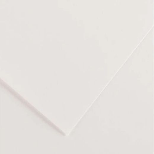 Cartulinas de 50 x 65 cm iris canson