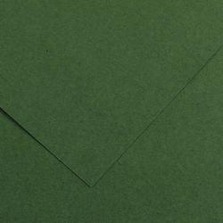 Cartulinas de 50 x 65 cm iris canson