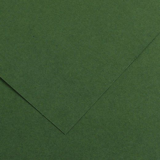 Cartulinas de 50 x 65 cm iris canson