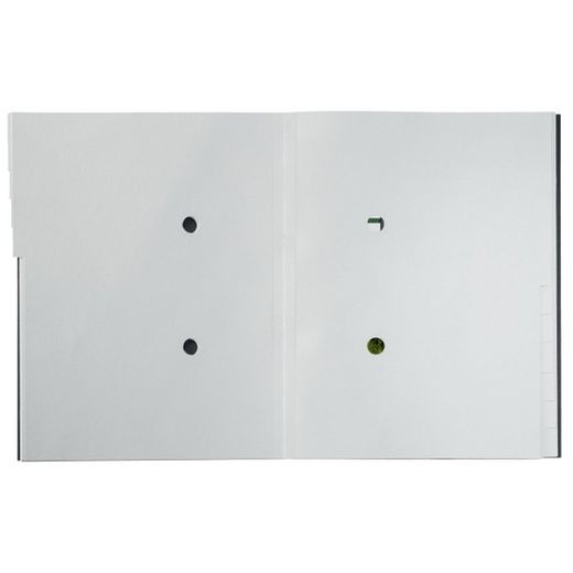 Trieur avec 12 onglets en carton Leitz Recycle